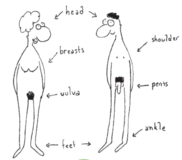 Body parts